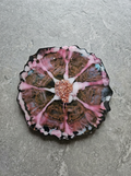✨ Velvet Alchemy: Celestial Resin Coasters
