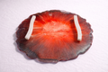 ✨Velvet Alchemy: Crimson Vow Vanity Tray